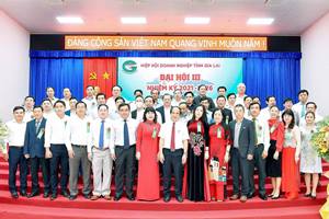 Gia Lai: Thành viên Hiệp hội Doanh nghiệp tỉnh ủng hộ Chương trình “Sóng và máy tính cho em”